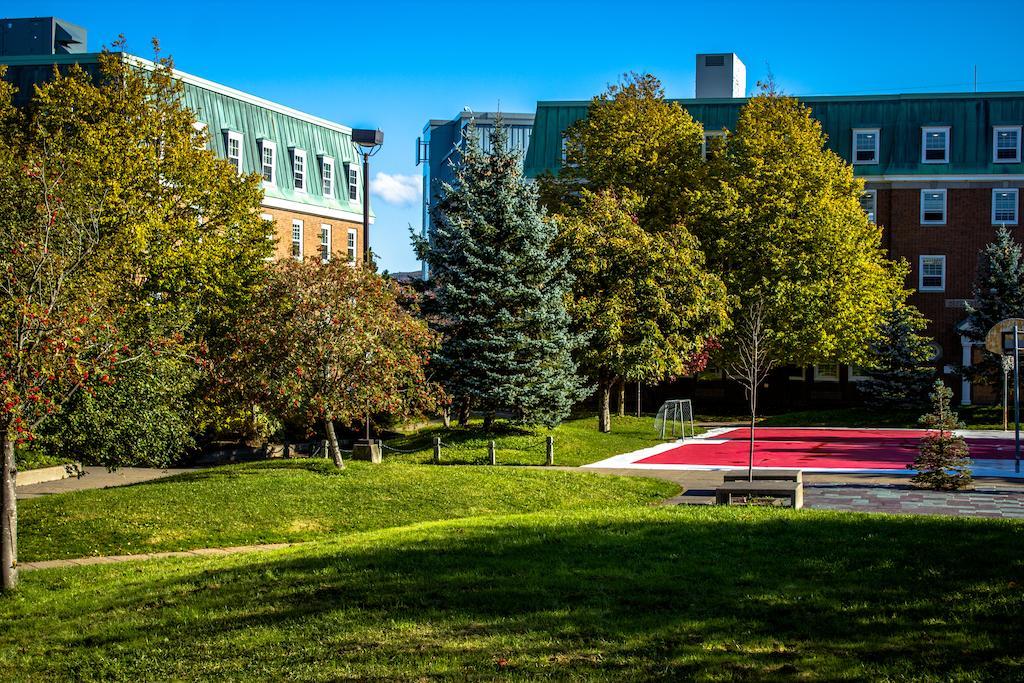 Memorial University Сент-Джонс Экстерьер фото