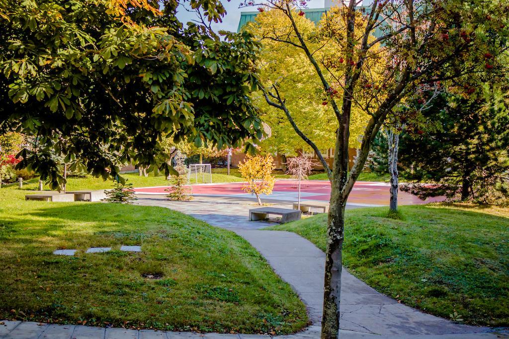 Memorial University Сент-Джонс Экстерьер фото